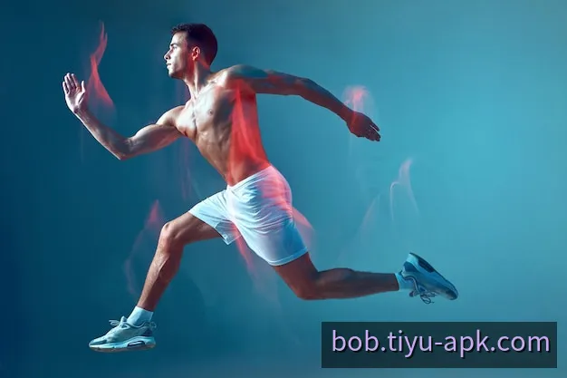 BOB 官方客户端多端视界